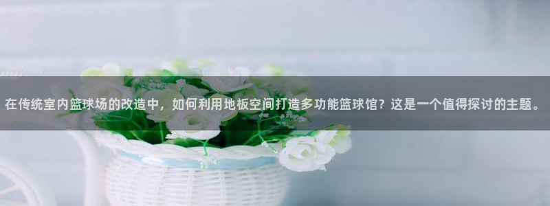 vsport体育官网下载是干嘛的公司：在传统室内篮球