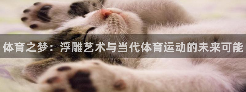 vsport体育官方正版app官网：体育之梦：浮雕艺