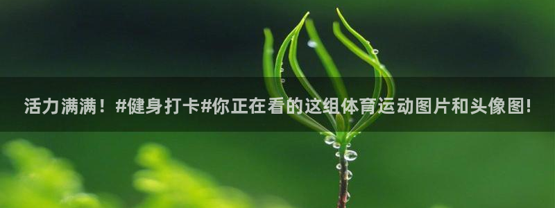 vsport体育官网下载招商电话地址是多少：活力满满