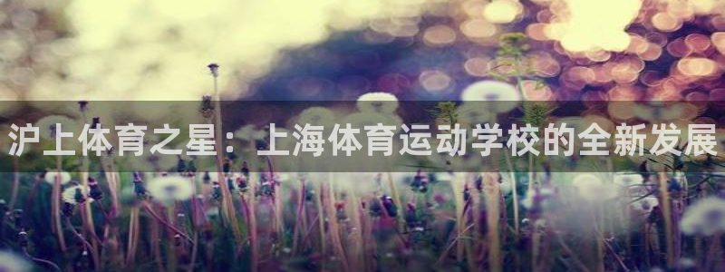 vsport体育官网下载平台注册流程视频：沪上体育之