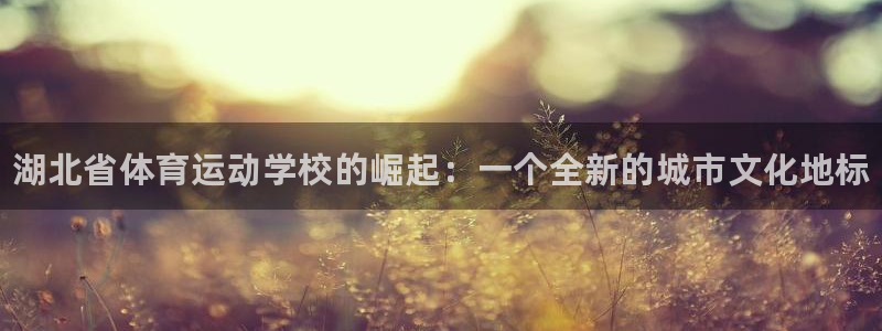 vsport体育官网下载招商电话：湖北省体育运动学校