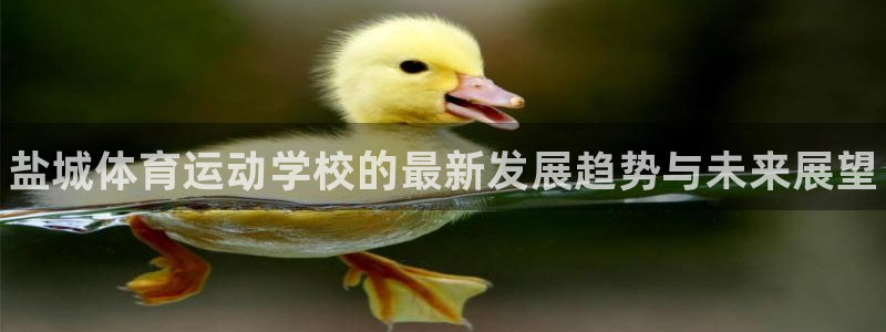 vsport体育官方正版app科技：盐城体育运动学校