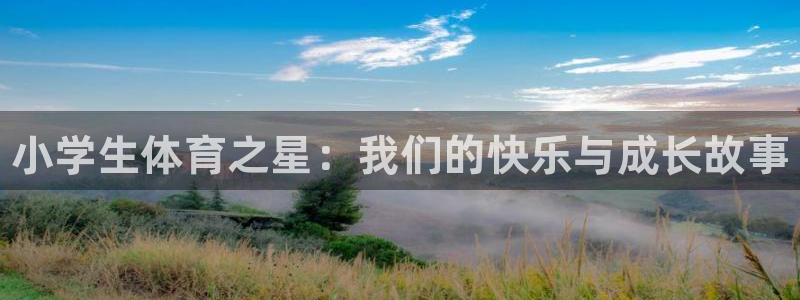 vsport体育官方正版app娱乐平台：小学生体育之