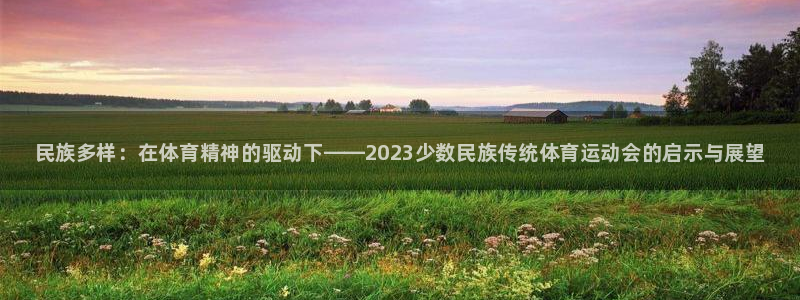 vsport体育官方正版app娱乐是那个系列的台子：