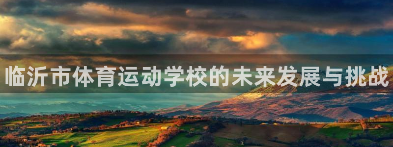 vsport体育官方正版app娱乐首页网站大全：临沂