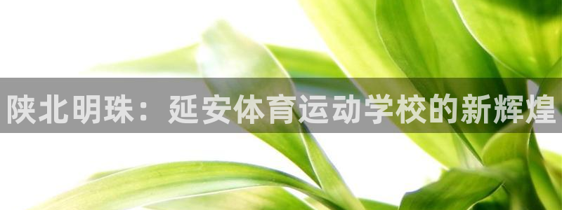 vsport体育官方平台体育：陕北明珠：延安体育运动