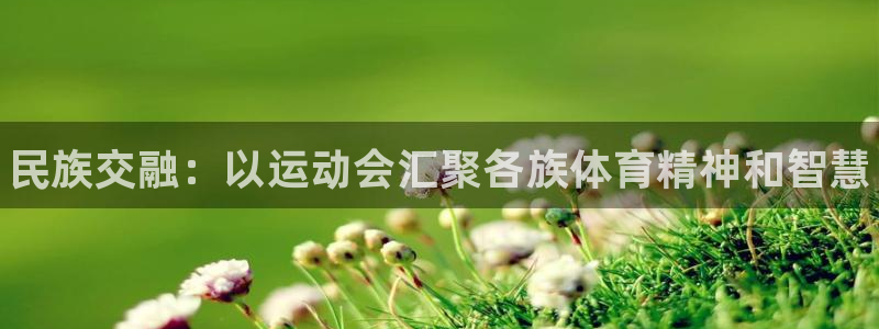 vsport体育官网下载招商电话：民族交融：以运动会