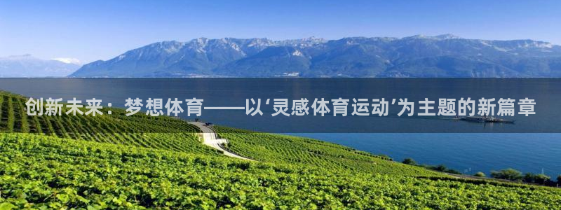 vsport体育官网下载平台是正规平台吗安全吗：创新