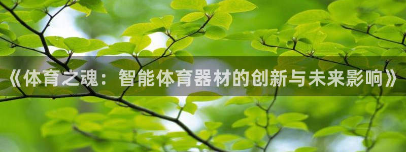vsport体育官网下载软件：《体育之魂：智能体育器
