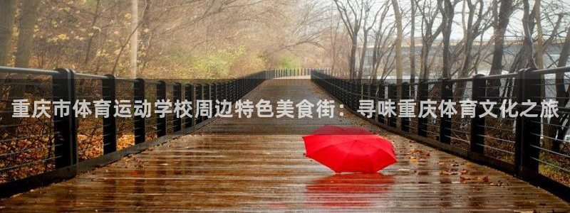 vsport体育官方正版app娱乐网站：重庆市体育运