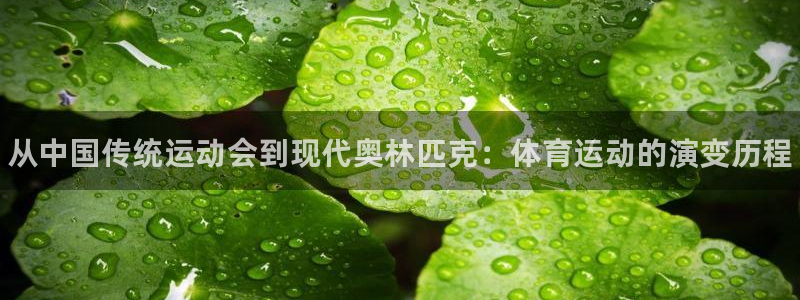 vsport体育官网下载开户：从中国传统运动会到现代