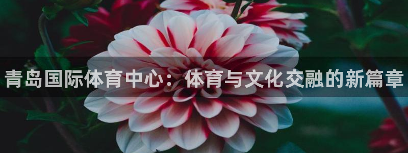 vsport体育官方正版app集团E.ON：青岛国际