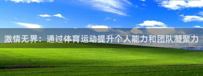 vsport体育官方正版app娱乐网站