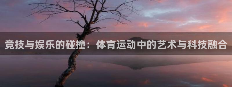 vsport体育官网下载是干嘛的公司：竞技与娱乐的碰