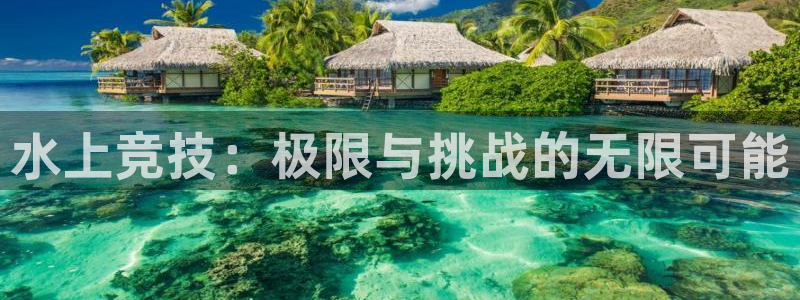 vsport体育官方正版app代理