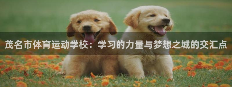 vsport体育官网下载招商电话地址是多少：茂名市体