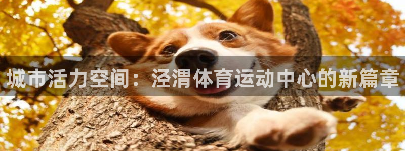 vsport体育官网下载平台：城市活力空间：泾渭体育