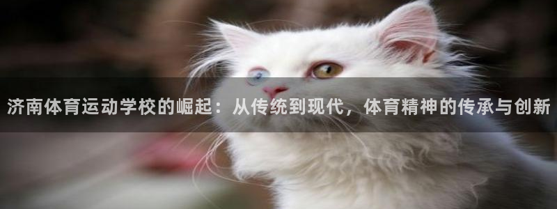 vsport体育官网下载开户：济南体育运动学校的崛起
