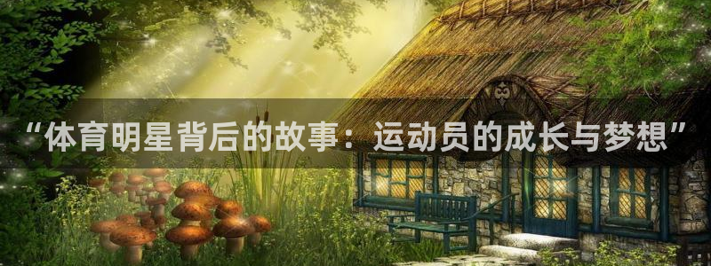 vsport体育官网下载平台APP：“体育明星背后的故事：运