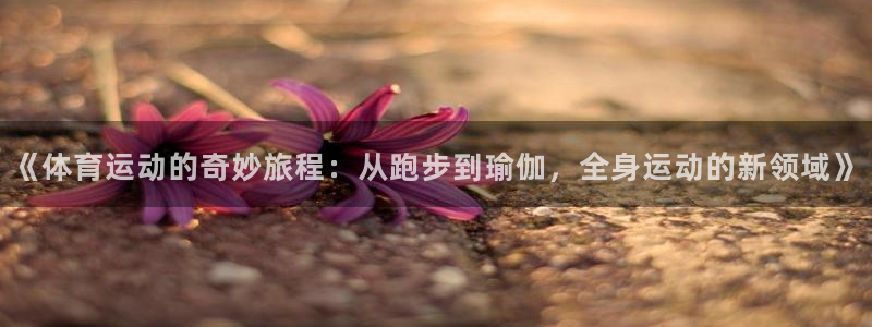 vsport体育官方正版app代理：《体育运动的奇妙旅程：从