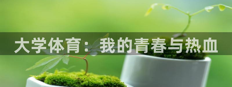 vsport体育官网下载官方客服电话：大学体育：我的