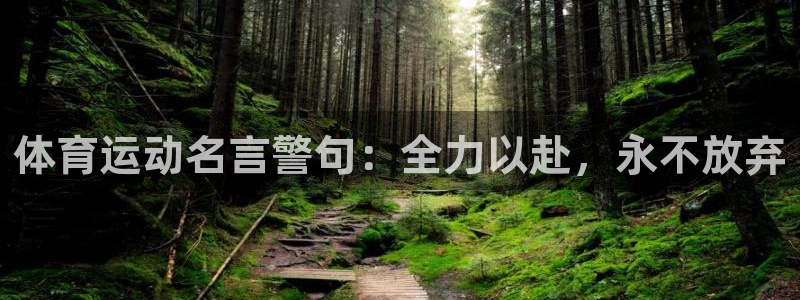 vsport体育官方正版app科技：体育运动名言警句：全力以