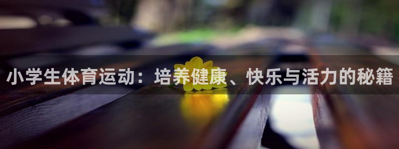 vsport体育官方正版app娱乐首页网站大全：小学生体育运