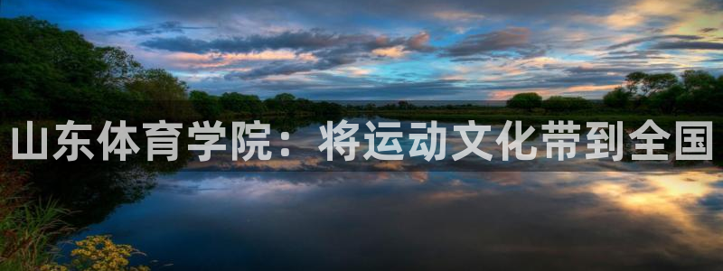 vsport体育官方正版app新能源：山东体育学院：将运动文