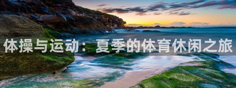 vsport体育官网下载平台注册流程视频：体操与运动：夏季的