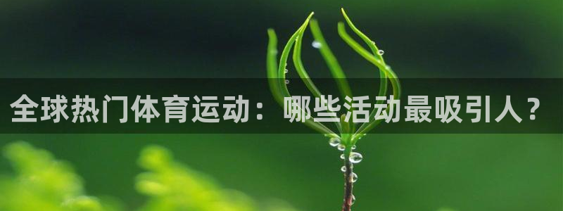 vsport体育官方正版app集团：全球热门体育运动：哪些活