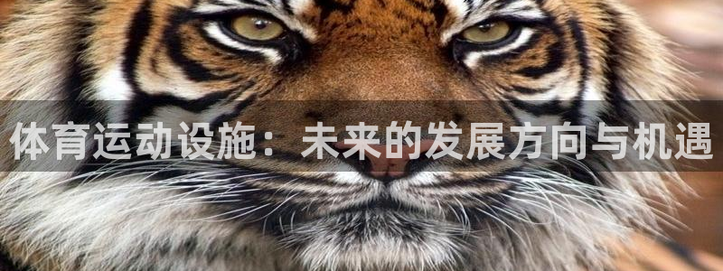 vsport体育官网下载平台注册流程视频：体育运动设