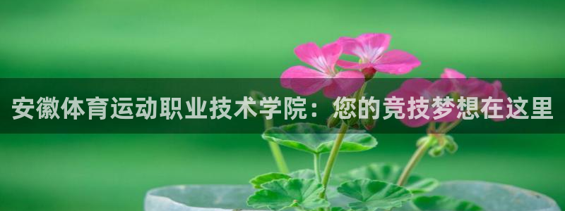 vsport体育官网下载联系电话：安徽体育运动职业技术学院：