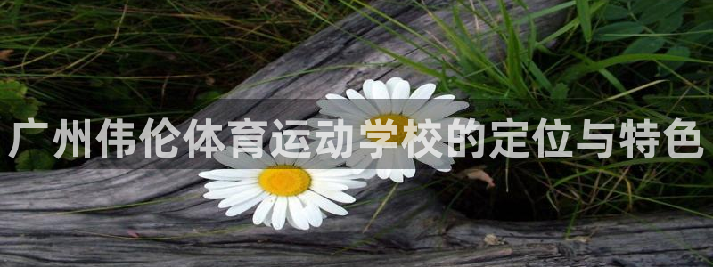 vsport体育官网下载招商电话：广州伟伦体育运动学校的定位