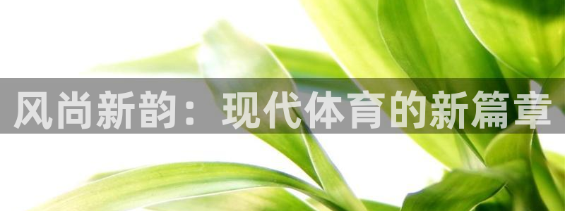  vsport体育阿根廷：风尚新韵：现代体育的新篇章