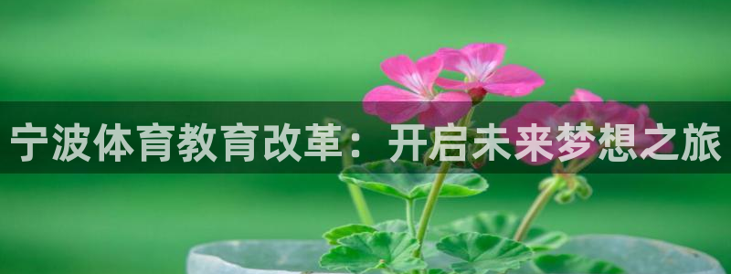 vsport体育在线官网阿根廷：宁波体育教育改革：开启未来梦