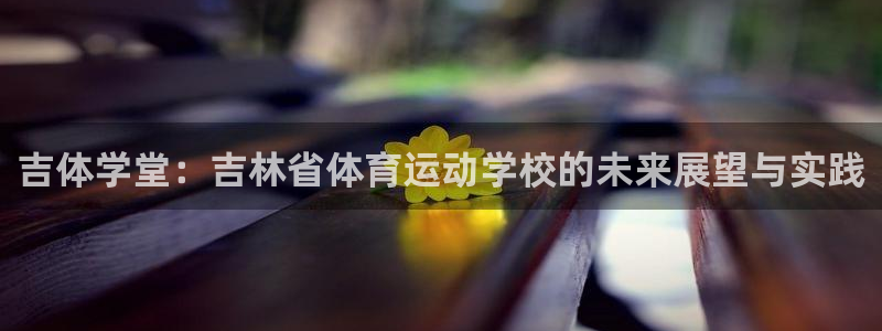 VSport体育平台-胜利因您更精彩