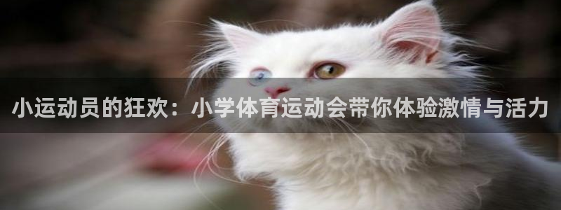 vsport体育平台：小运动员的狂欢：小学体育运动会带你体验