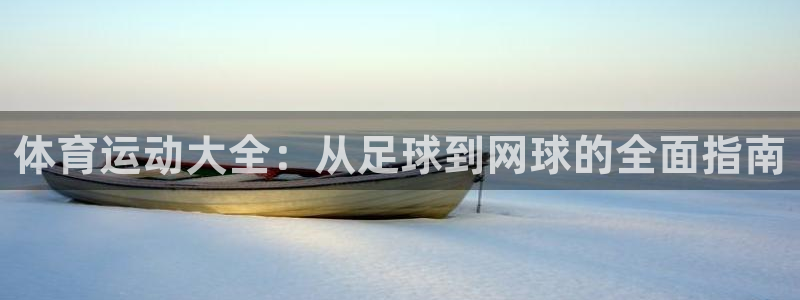  Vsport体育官网：体育运动大全：从足球到网球的全面指南