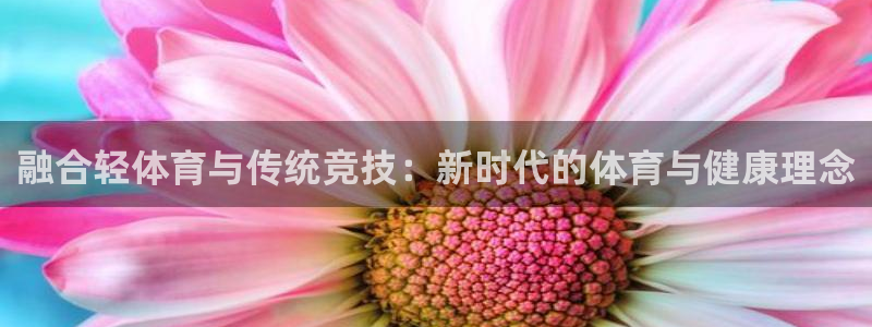 VSport体育官网入口：融合轻体育