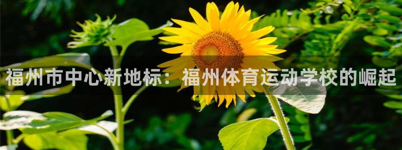 vsport体育阿根廷：福州市中心新
