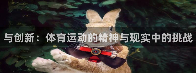 vsport体育平台app：与创新：体育运动的精神与现实中的