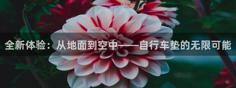 vSport体育app最新版本更新内