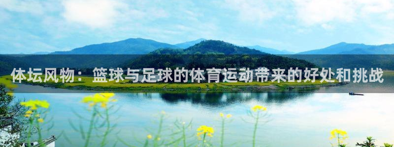 Vsport体育官方网站入口：体坛风物：篮球与足球的体育运动