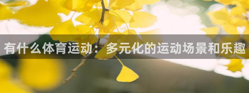 Vsport体育官网：有什么体育运动：多元化的运动场景和乐趣