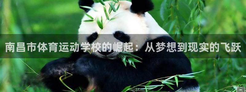 vsport体育：南昌市体育运动学校
